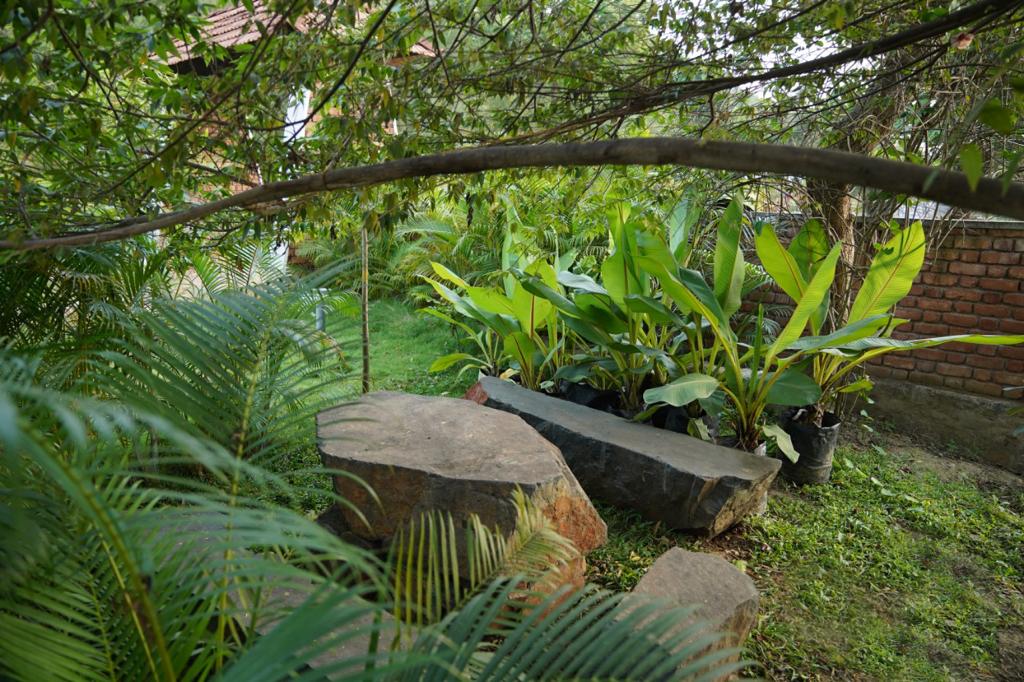 WhatsApp-Image-2022-06-13-at-3.33.30-PM-1