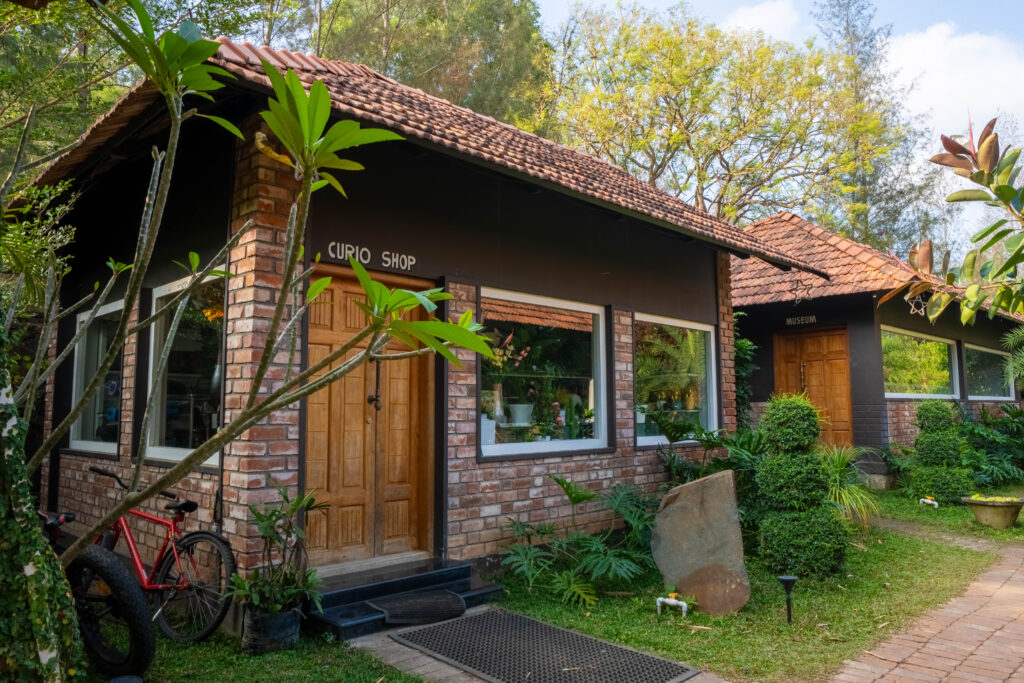 DSC05912-HDR