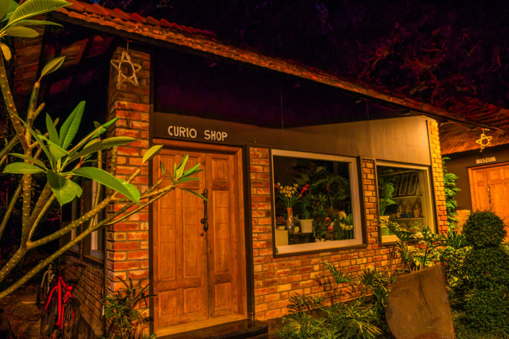 DSC06169-HDR